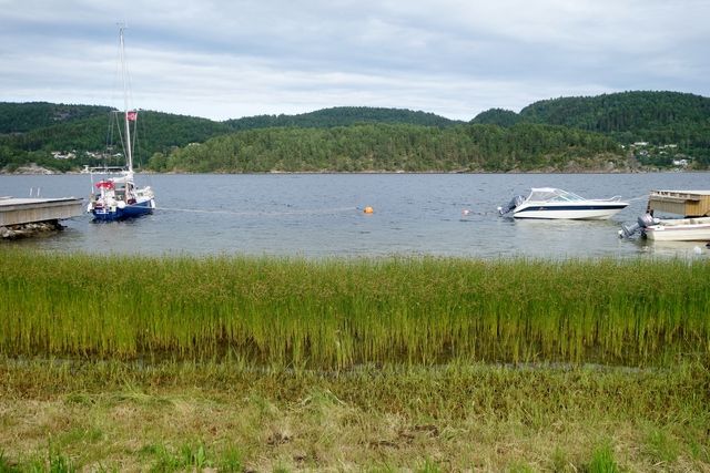photo Hyttetur til Nystrand 044_zpsedujddyv.jpg