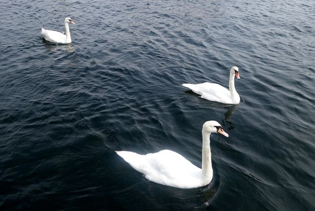 photo Hyttetur til Nystrand 206_zpsvxqlqgh3.jpg