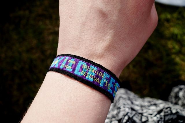 photo Roskilde 2015 018_zpspgltbgum.jpg