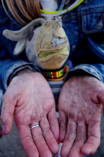photo Roskilde 2015 1088_zpsjqp4yaks.jpg