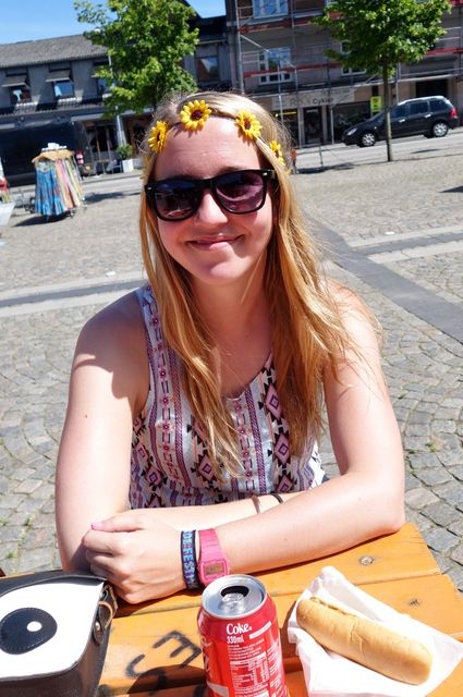 photo Roskilde 2015 342_zpsbjhvzqb1.jpg