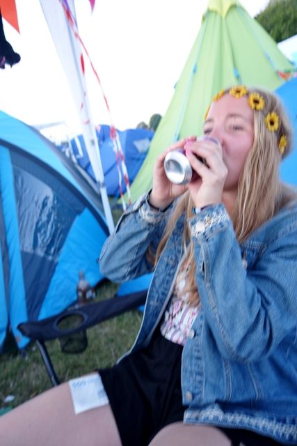 photo Roskilde 2015 433_zpsguermdco.jpg