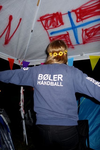 photo Roskilde 2015 466_zpsj28rdwlh.jpg