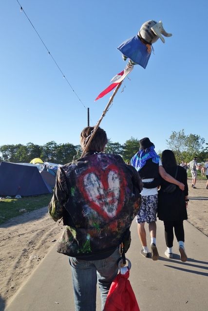 photo Roskilde 2015 531_zpsetsbiyvi.jpg