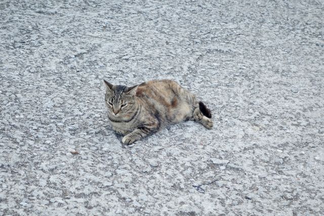 photo Skiathos 2015 042_zpsi3gyfyth.jpg