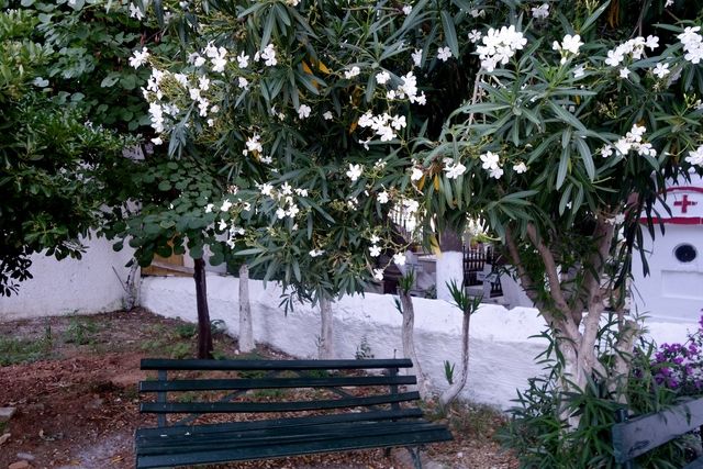 photo Skiathos 2015 176_zpszuihft6p.jpg