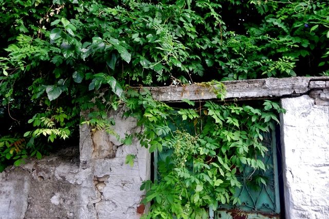 photo Skiathos 2015 202_zpszyoublos.jpg