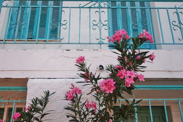 photo Skiathos 2015 276_zpsmknxoajj.jpg