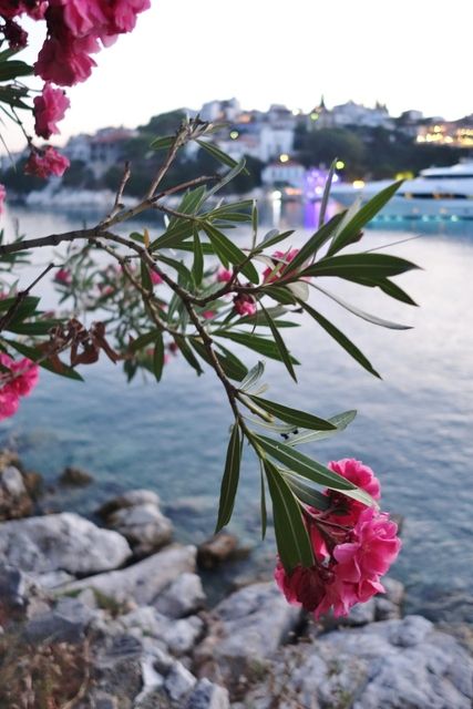 photo Skiathos 2015 311_zpsta5gxu9u.jpg