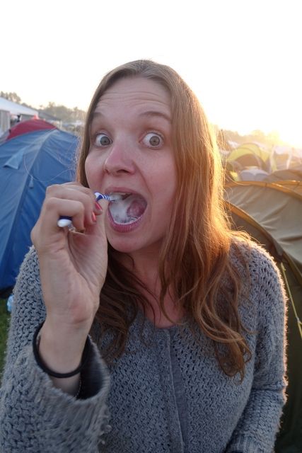 photo Roskilde 2015 1350_zps41gpexlu.jpg