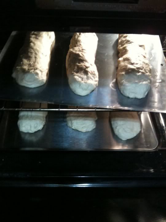 Italian Bread Dough