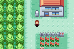 [PokeCommunity.com] Pokémon Dark Ruby (Not Final)