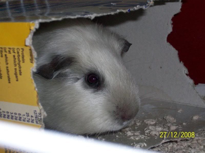 100_0008.jpg