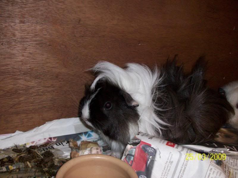100_0077.jpg