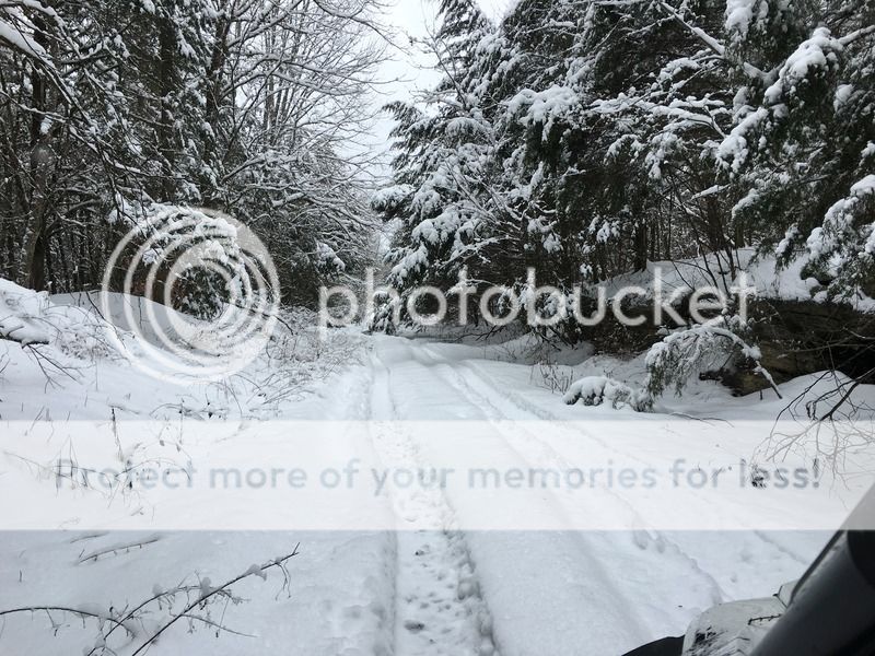 1-23-2016 snow pics Image_62
