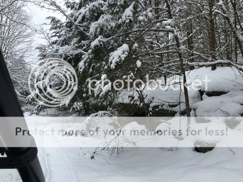 1-23-2016 snow pics Image_64