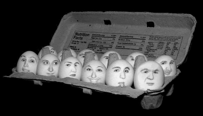 Eggs_Carton.gif