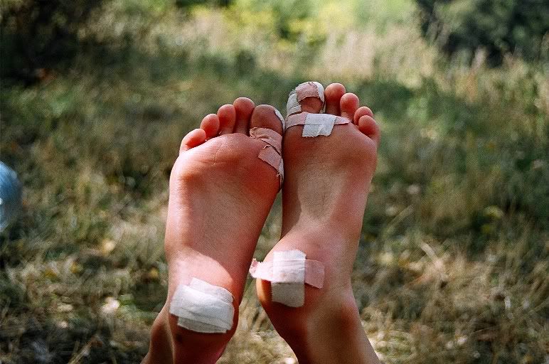 https://i32.photobucket.com/albums/d31/stusa_kutusa/11560006.jpg