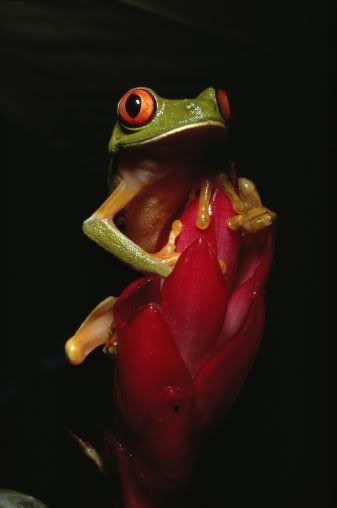 https://i32.photobucket.com/albums/d31/stusa_kutusa/200239104-001.jpg