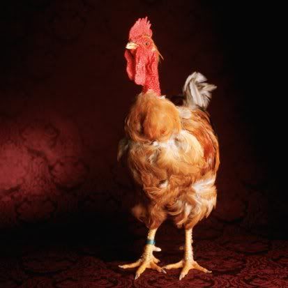 https://i32.photobucket.com/albums/d31/stusa_kutusa/200277078-001.jpg