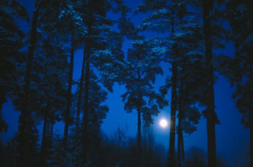https://i32.photobucket.com/albums/d31/stusa_kutusa/3003-003146.jpg