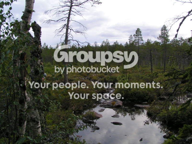 https://i32.photobucket.com/albums/d31/stusa_kutusa/PICT3104.jpg