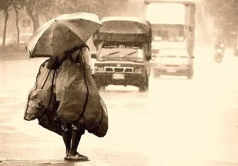 https://i32.photobucket.com/albums/d31/stusa_kutusa/The_Woman_in_the_Rain_by_nxxos-1.jpg
