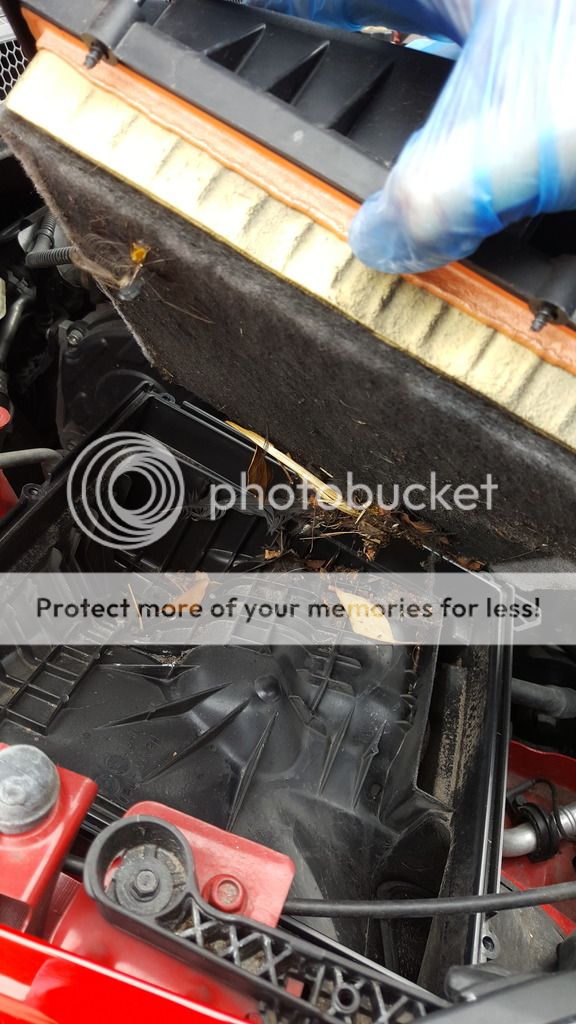 [Image: 20160727_155959_zpsxybxmxfb.jpg~original]