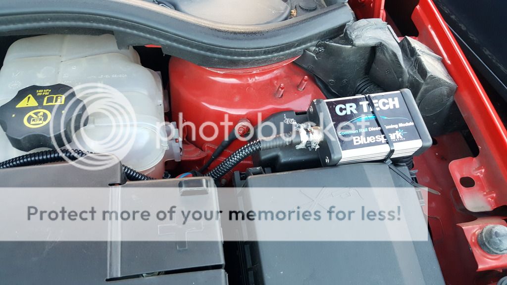 [Image: 20160824_064953_zpslckbqt2h.jpg~original]