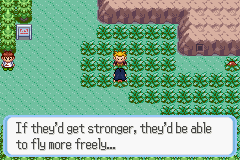 [PokeCommunity.com] Pokémon Quartz "Let's Play" 2.0