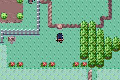 [PokeCommunity.com] Pokémon Quartz "Let's Play" 2.0