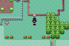 [PokeCommunity.com] Pokémon Quartz "Let's Play" 2.0