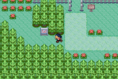 [PokeCommunity.com] Pokémon Quartz "Let's Play" 2.0