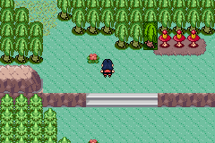 [PokeCommunity.com] Pokémon Quartz "Let's Play" 2.0