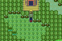 [PokeCommunity.com] Pokémon Quartz "Let's Play" 2.0