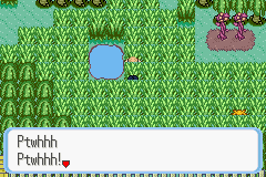 [PokeCommunity.com] Pokémon Quartz "Let's Play" 2.0