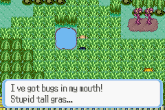 [PokeCommunity.com] Pokémon Quartz "Let's Play" 2.0