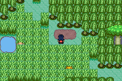 [PokeCommunity.com] Pokémon Quartz "Let's Play" 2.0