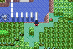[PokeCommunity.com] Pokémon Quartz "Let's Play" 2.0