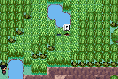 [PokeCommunity.com] Pokémon Quartz "Let's Play" 2.0