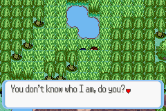 [PokeCommunity.com] Pokémon Quartz "Let's Play" 2.0