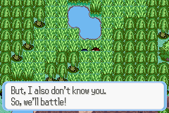 [PokeCommunity.com] Pokémon Quartz "Let's Play" 2.0