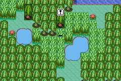 [PokeCommunity.com] Pokémon Quartz "Let's Play" 2.0