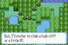 [PokeCommunity.com] Pokémon Quartz "Let's Play" 2.0