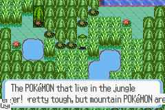 [PokeCommunity.com] Pokémon Quartz "Let's Play" 2.0