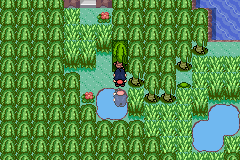 [PokeCommunity.com] Pokémon Quartz "Let's Play" 2.0