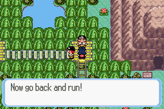 [PokeCommunity.com] Pokémon Quartz "Let's Play" 2.0