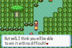 [PokeCommunity.com] Pokémon Quartz "Let's Play" 2.0