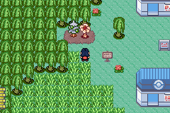 [PokeCommunity.com] Pokémon Quartz "Let's Play" 2.0