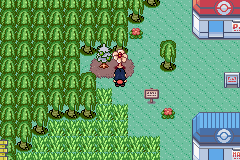 [PokeCommunity.com] Pokémon Quartz "Let's Play" 2.0